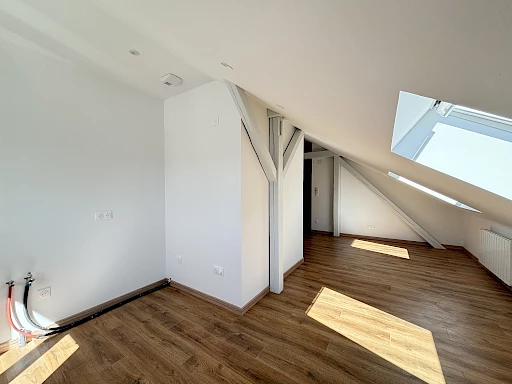 3 PIÈCES   41,10 M2 CARREZ   ENTIÈREMENT RÉNOVÉ
